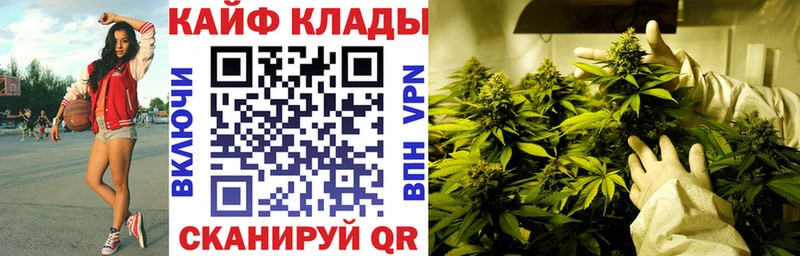 Магазин наркотиков Малаховка ГАШ КОКАИН Мефедрон Галлюциногенные грибы Конопля