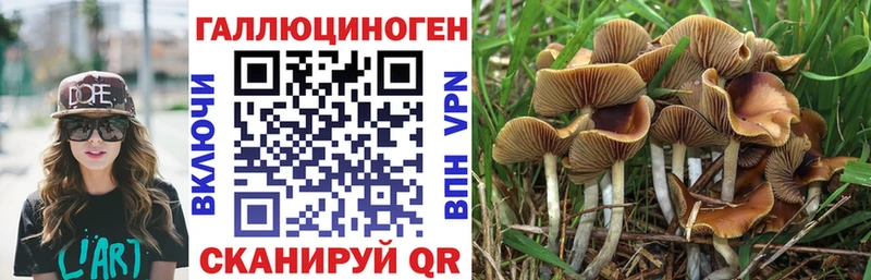 Псилоцибиновые грибы мухоморы  купить наркотики цена  ОМГ ОМГ ссылка  Малаховка 